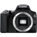 Canon EOS 250D
(3)
Gesamtnote 2,0 (gut)